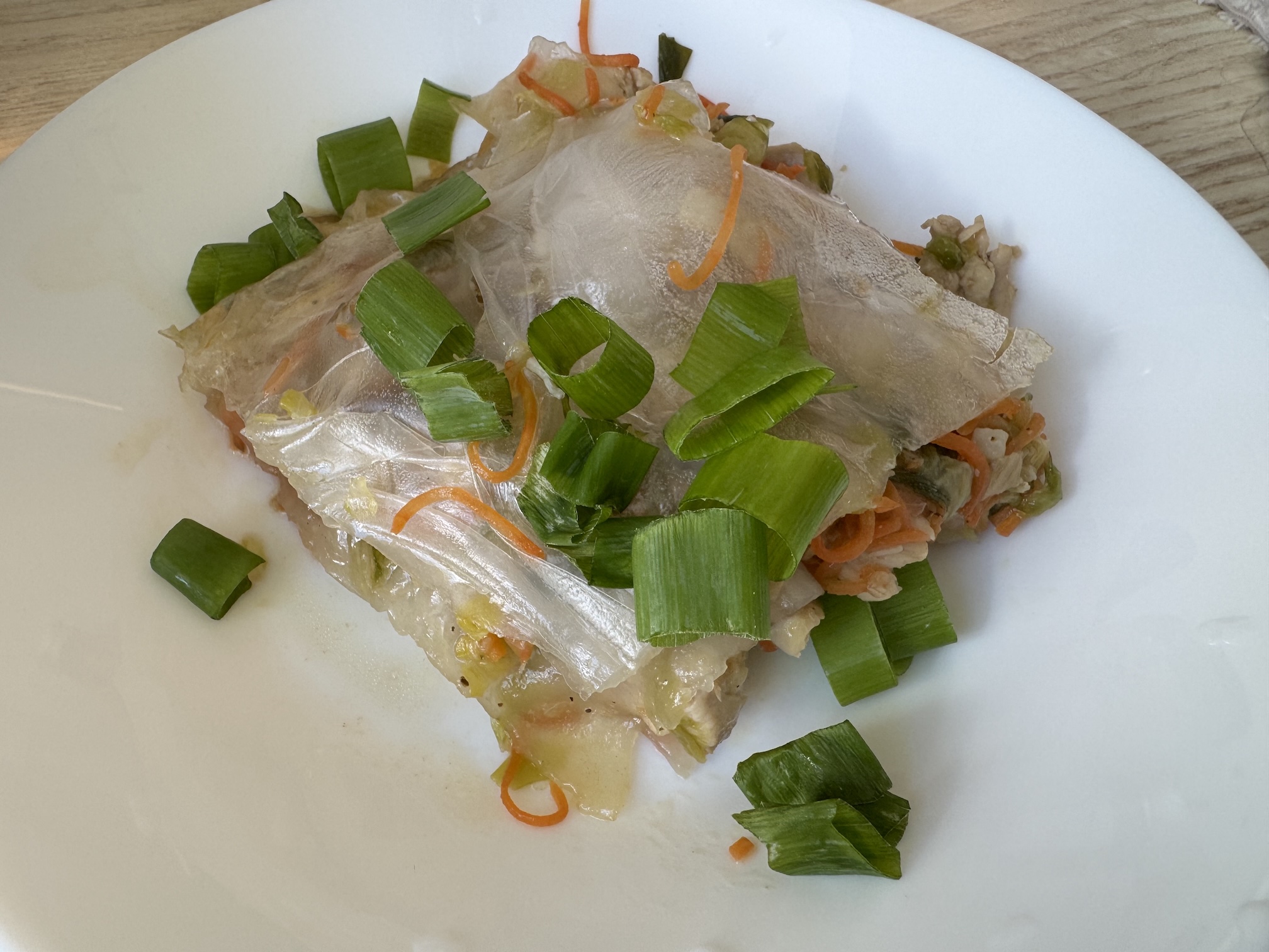 Dumpling Lasagna photo 2